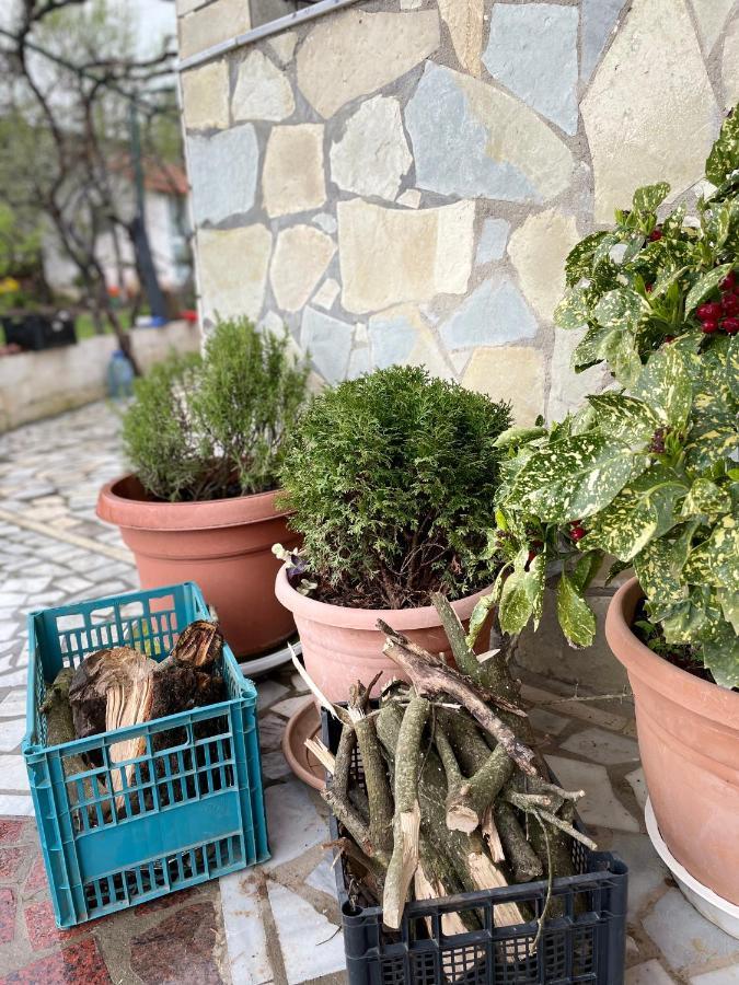 Kasaj Villa Gjirokastër Eksteriør billede